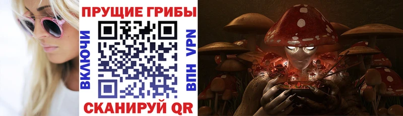 наркошоп  Арсеньев  Галлюциногенные грибы MAGIC MUSHROOMS 